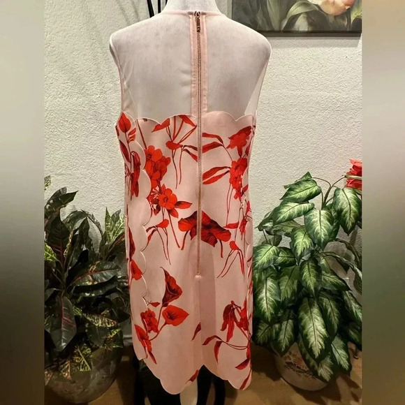 Ted Baker Pink Jaazmin Fantasia Scallop Mini Dress size 3 - Picture 4 of 16